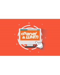 cPanel 1 Account